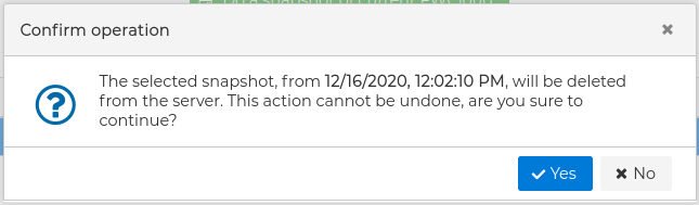 Delete Snapshot Confirmation